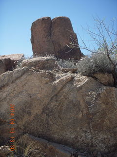 Bagdad hike (my old running loop) - flowers
