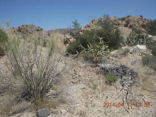 Bagdad hike (my old running loop)