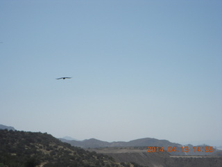 Bagdad hike (my old running loop) - Adam - tripod and timer