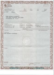 N8377W paperwork 2014 August from Beegles