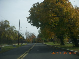 driving in Cheltenham - fall foliage