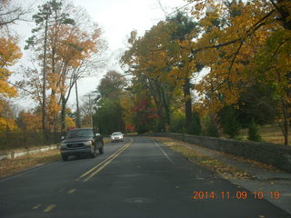 driving in Cheltenham - fall foliage