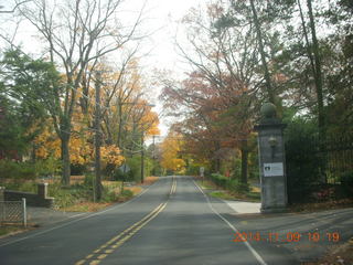 driving in Cheltenham - fall foliage