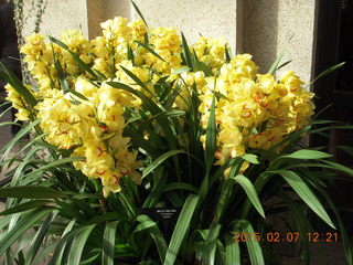 27 8w7. Longwood Gardens