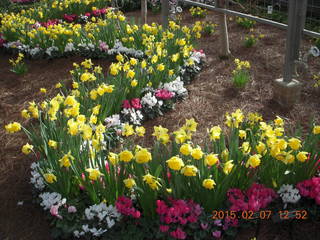 71 8w7. Longwood Gardens
