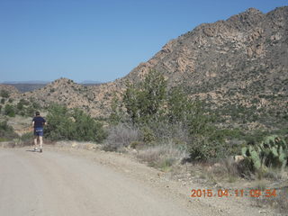 Bagdad hike (my old running loop) - bird in flight