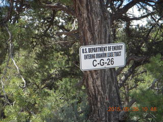 120 8zw. drive to Calamity Mine - very tough side road