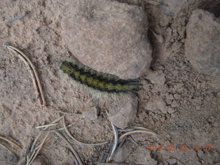 249 8zw. drive to Calamity Mine - caterpillar