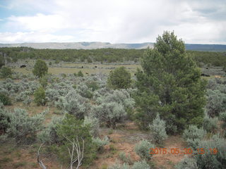 309 8zw. drive from Calamity Mine