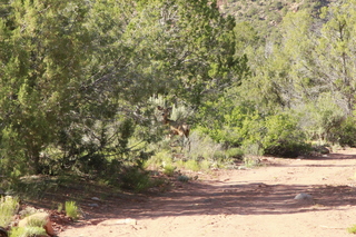 375 8zw. drive from Calamity Mine