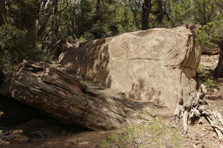 514 8zw. Calamity Mine drive - rocks