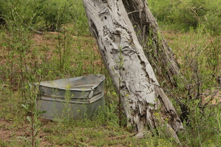 553 8zw. Calamity Mine camp site