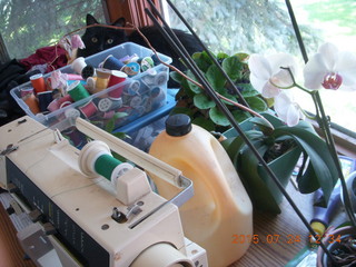 cat Hannah amid sewing supplies