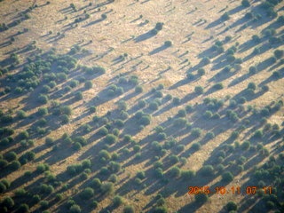 aerial - Buzzard Roost