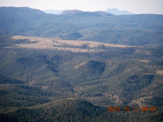 aerial - Buzzard Roost