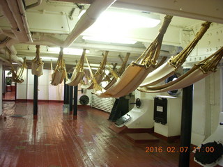 Philadelphia Zoo - interesting animal