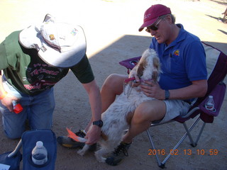 Motown - Arizona Flying Circus - painting dog tail orange
