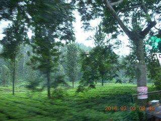 37 993. Indonesia
