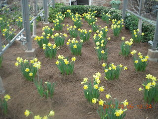577 9l5. Longwood Gardens with the Schubels + Betsy and Cecelia and John and Sandra