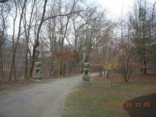 Princeton Alumni Day - lions