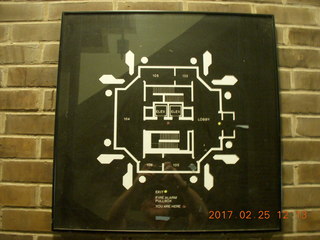 Princeton Alumni Day - lions