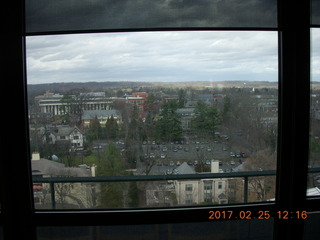 Princeton Alumni Day- Caldor sculture