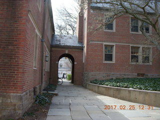 Princeton Alumni Day- Fine Hall - 13th floor