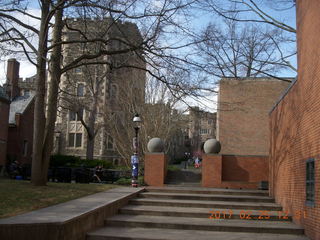 Princeton Alumni Day - WIlson college