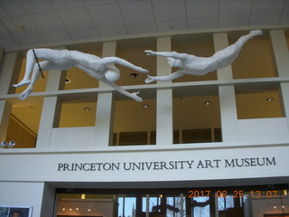 Princeton Alumni Day - tiger