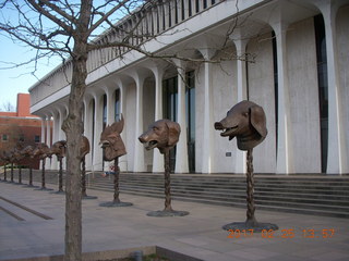 Princeton Alumni Day - Woodrow Wilson School