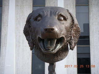 Princeton Alumni Day - Art Museum