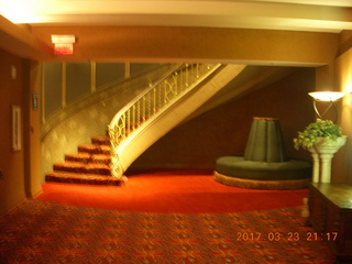 Curtis Arboretum - Cheltenham XC alumni race - team sitting on steps