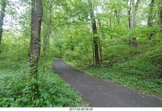 Pennypack Park run