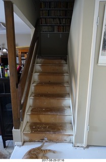 view from the top of the stairs