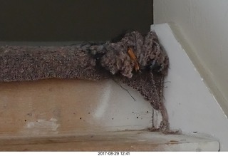 the torn-up carpet on my stairs