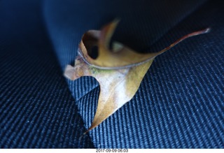 Cheltenham Cross Country CHS-XC - Curtis Arboretum - Adam running