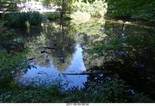 Cheltenham Cross Country CHS-XC - Curtis Arboretum - pond