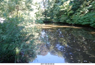 Cheltenham Cross Country CHS-XC - Curtis Arboretum - after the race