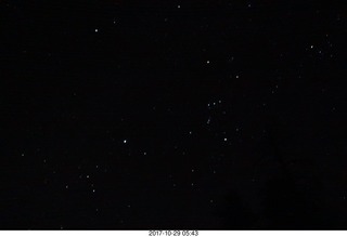 stars with Orion
