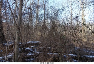 Philadelphia Museum of Art - Rodin Museum