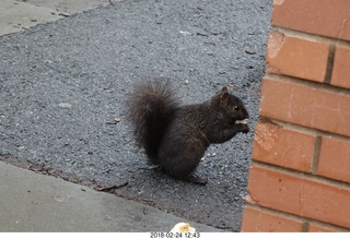 Princeton Alumni Day - Jadwin Physics