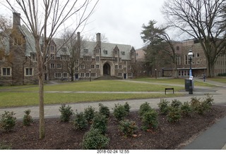 Princeton Alumni Day
