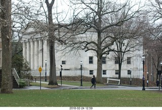 Princeton Alumni Day