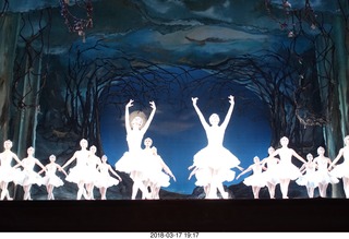 Academy of Music - Swan Lake ballet