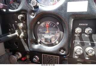 Mark and Lisa picture of Sonoran desert - condor with wings spread
