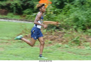 Curtis Arboretum - Cheltenham XC alumni race