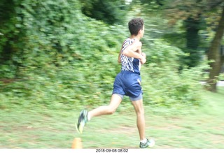 Curtis Arboretum - Cheltenham XC alumni race