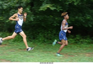 Curtis Arboretum - Cheltenham XC alumni race