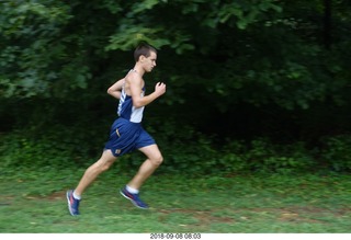 Curtis Arboretum - Cheltenham XC alumni race