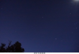 Cheltenham Cross Country CHS-XC - Curtis Arboretum - start